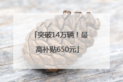 突破14万辆！最高补贴650元